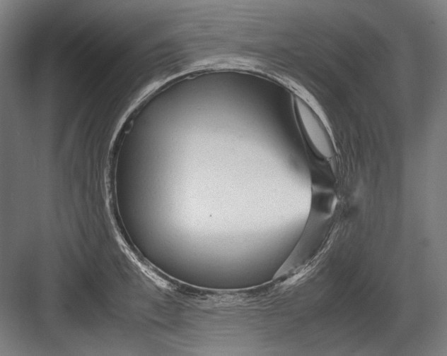 X0000082200997200702092356