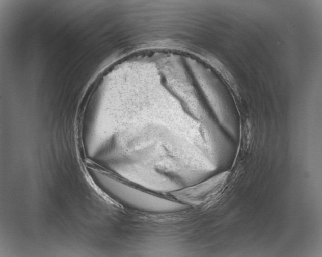 X0000082200998200702092356