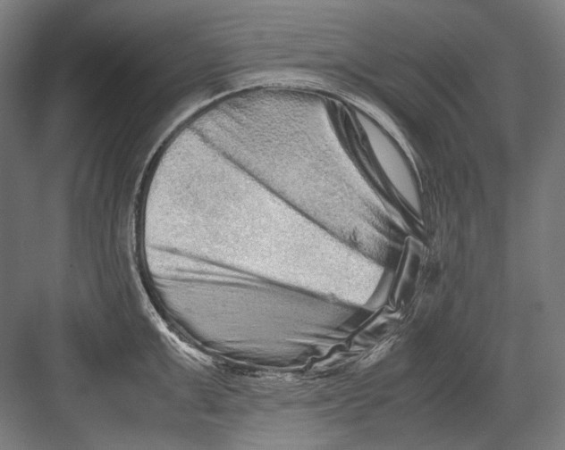 X0000082200999200702092356