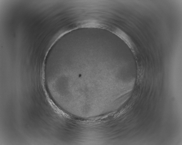 X0000082201000200702092356