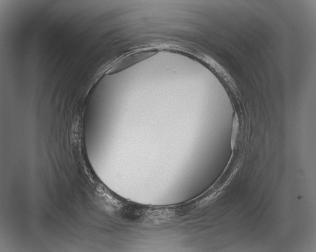 X0000082201001200702092356