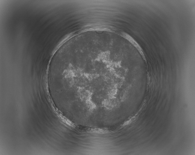 X0000082201002200702092356