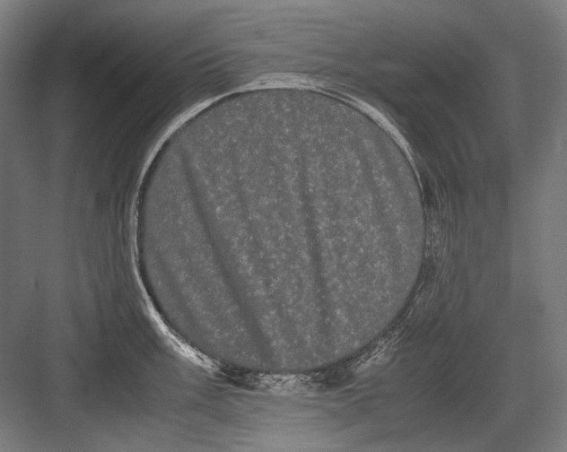 X0000082201003200702092356