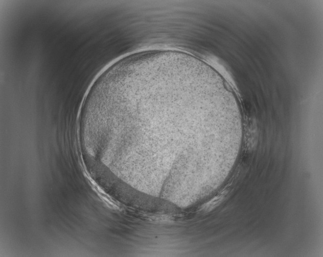 X0000082201004200702092356