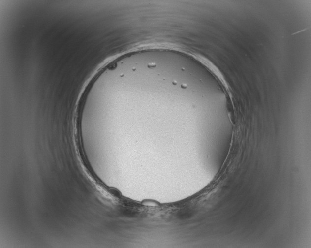 X0000082201005200702092356