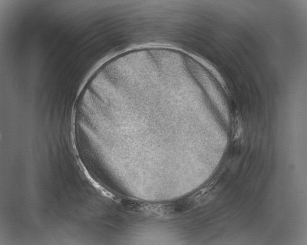 X0000082201006200702092356