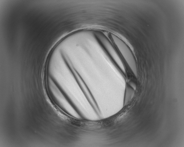 X0000082201007200702092356