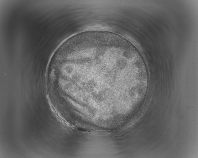 X0000082201008200702092356