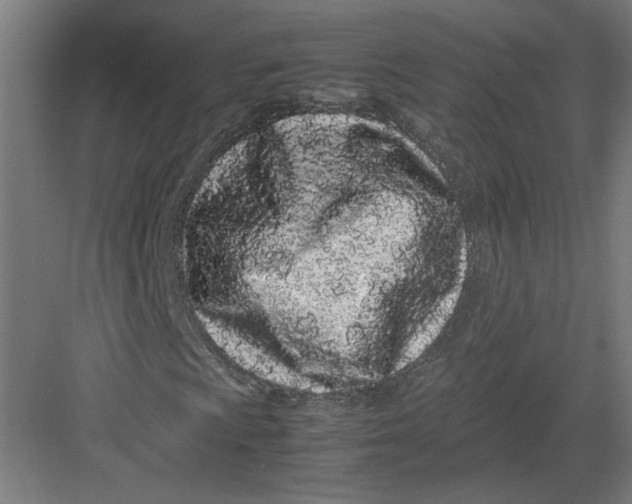 X0000082201009200702092355