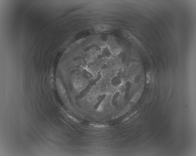 X0000082201011200702092355