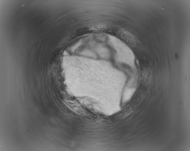 X0000082201012200702092355