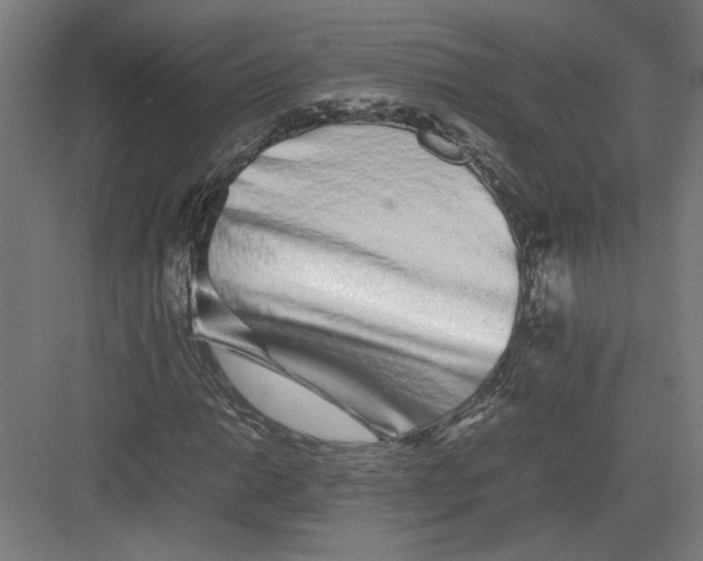 X0000082201014200702092355