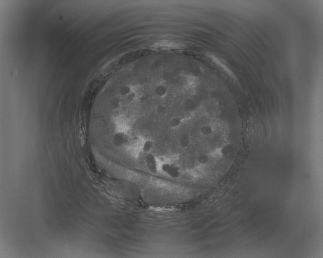 X0000082201015200702092355