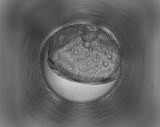 X0000082201019200702092355