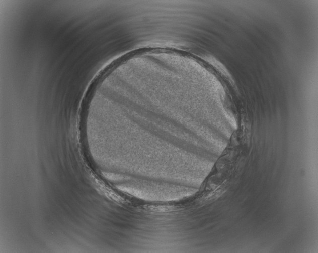 X0000082201020200702092355