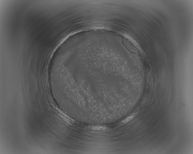 X0000082201023200702092355