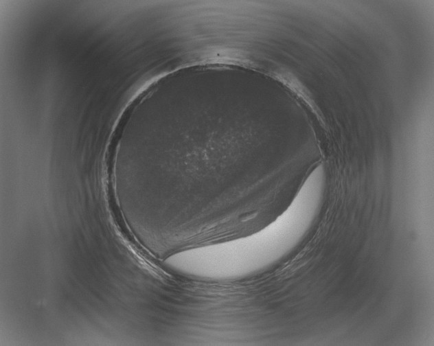 X0000082201024200702092355