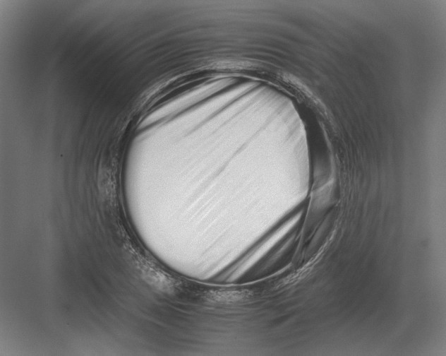 X0000082201025200702092355