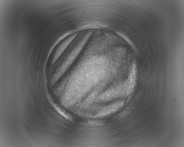 X0000082201026200702092355