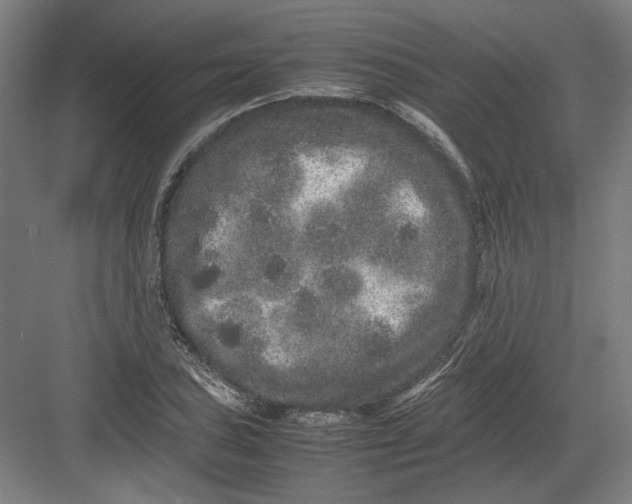 X0000082201027200702092356