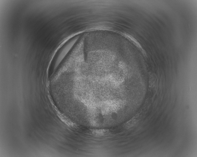 X0000082201031200702092356