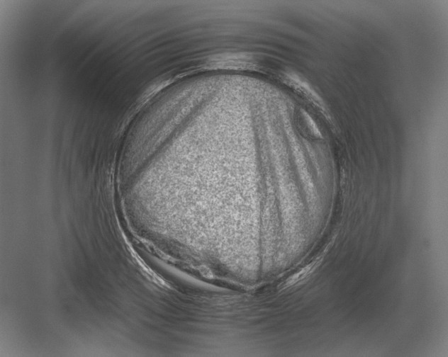 X0000082201033200702092356