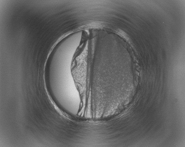 X0000082201034200702092356