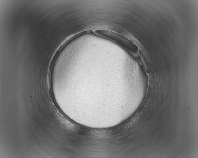 X0000082201036200702092356