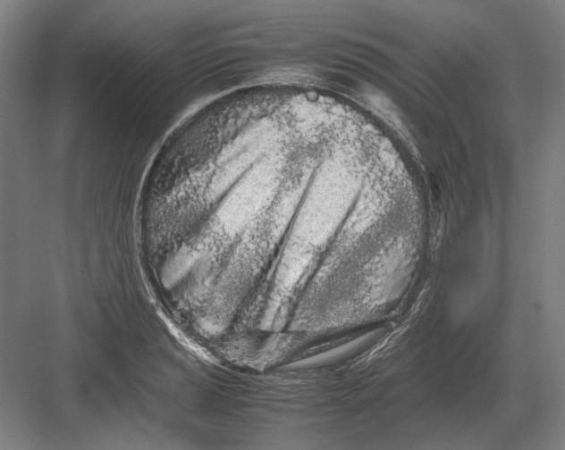 X0000082201037200702092356