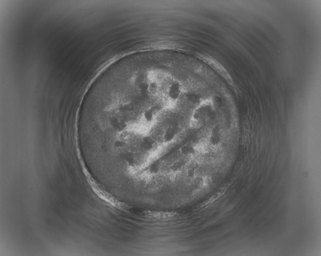 X0000082201039200702092356