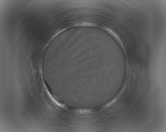 X0000082201041200702092356