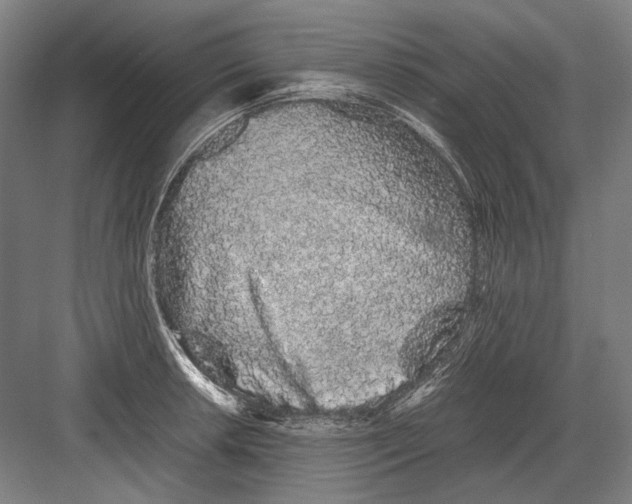 X0000082201042200702092356