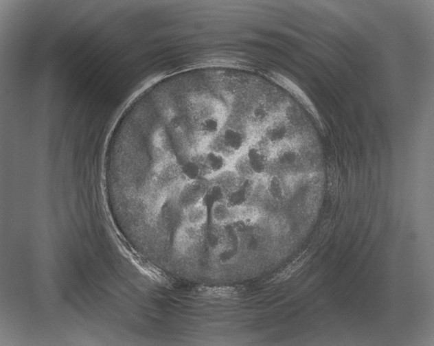 X0000082201043200702092356