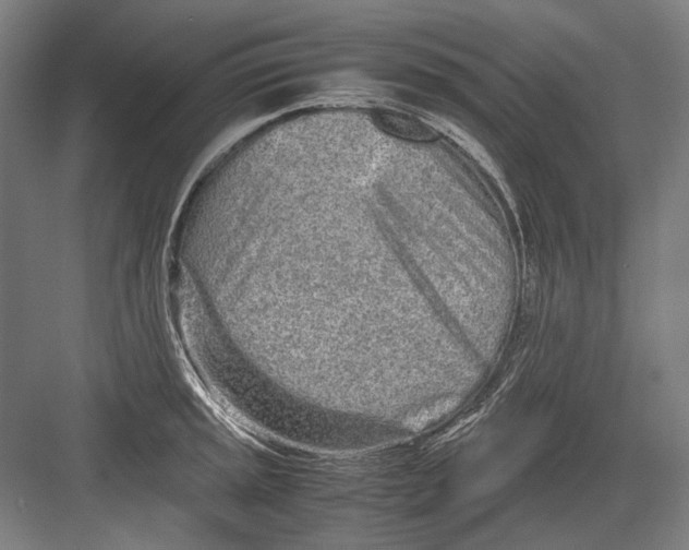 X0000082201045200702092356