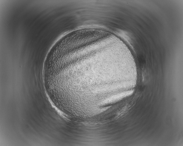 X0000082201046200702092356