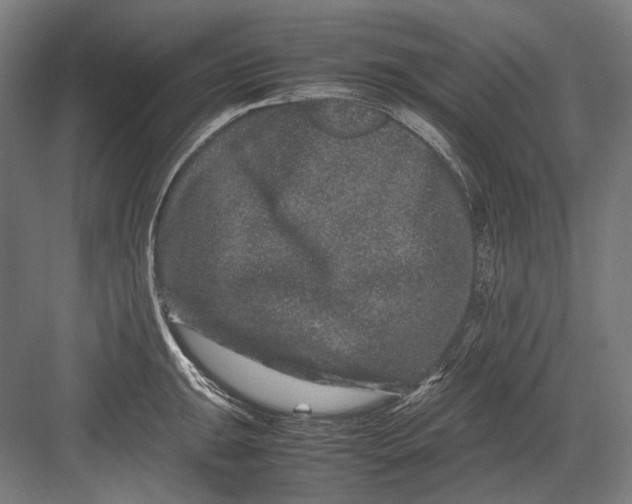 X0000082201047200702092356