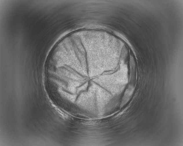 X0000082201048200702092356