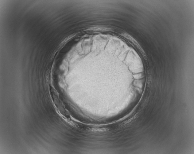 X0000082201049200702092356