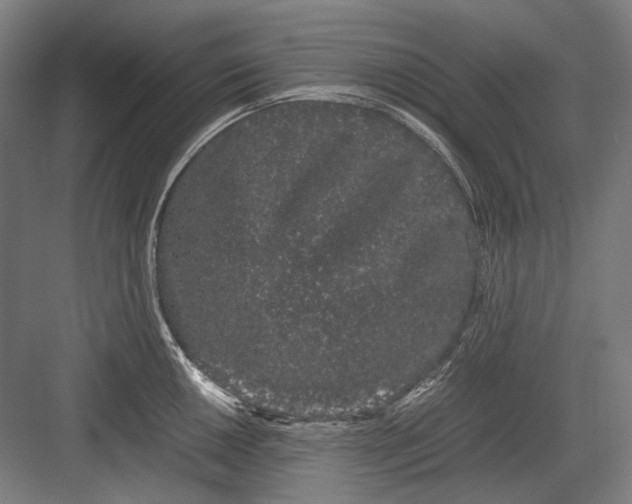 X0000082201050200702092356