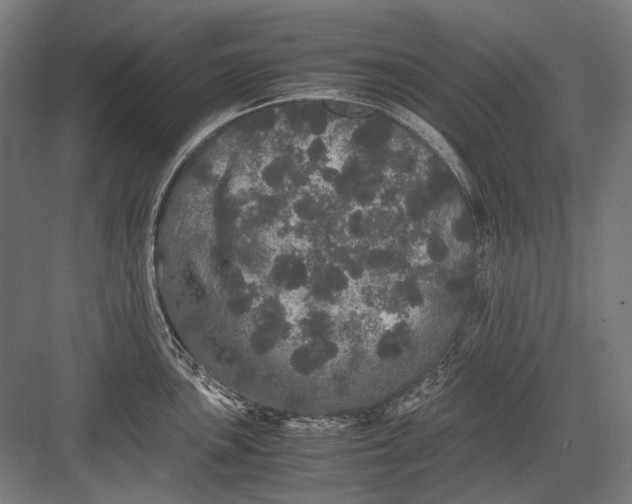 X0000082201051200702092356