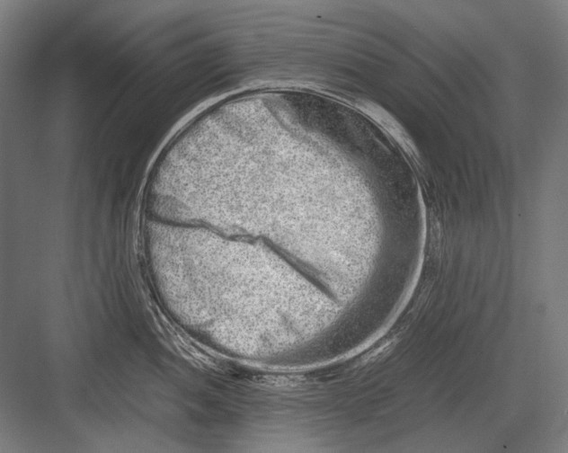 X0000082201052200702092356