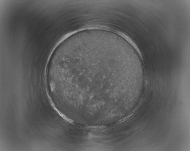 X0000082201053200702092356