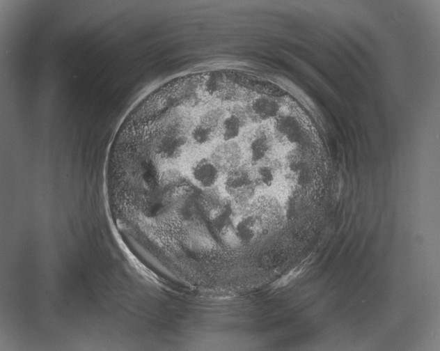 X0000082201055200702092356