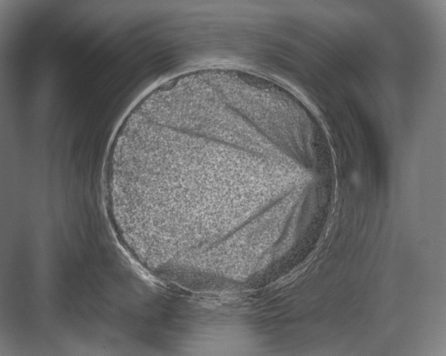 X0000082201056200702092356