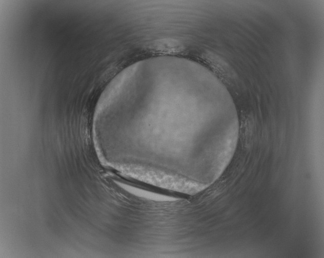 X0000082201058200702092355