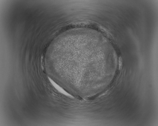 X0000082201059200702092355