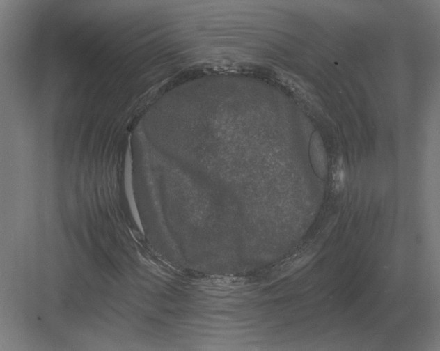 X0000082201060200702092355