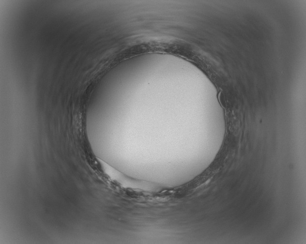 X0000082201061200702092355