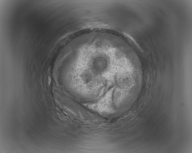 X0000082201063200702092355