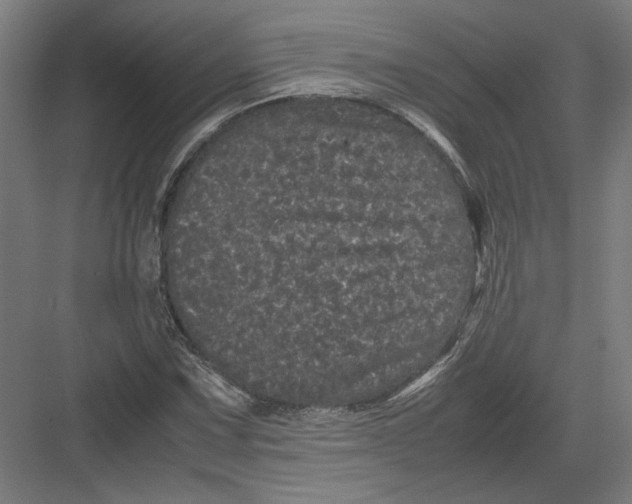 X0000082201067200702092355